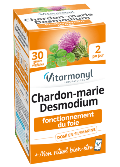 Chardon marie Desmodium Chardon marie Desmodium