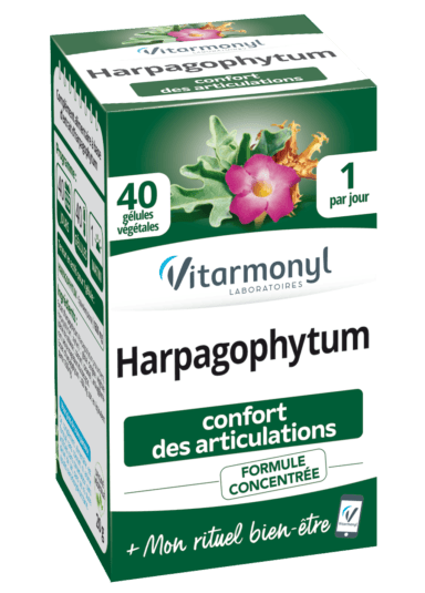 Harpagophytum Confort des articulations Harpagophytum Confort des articulations