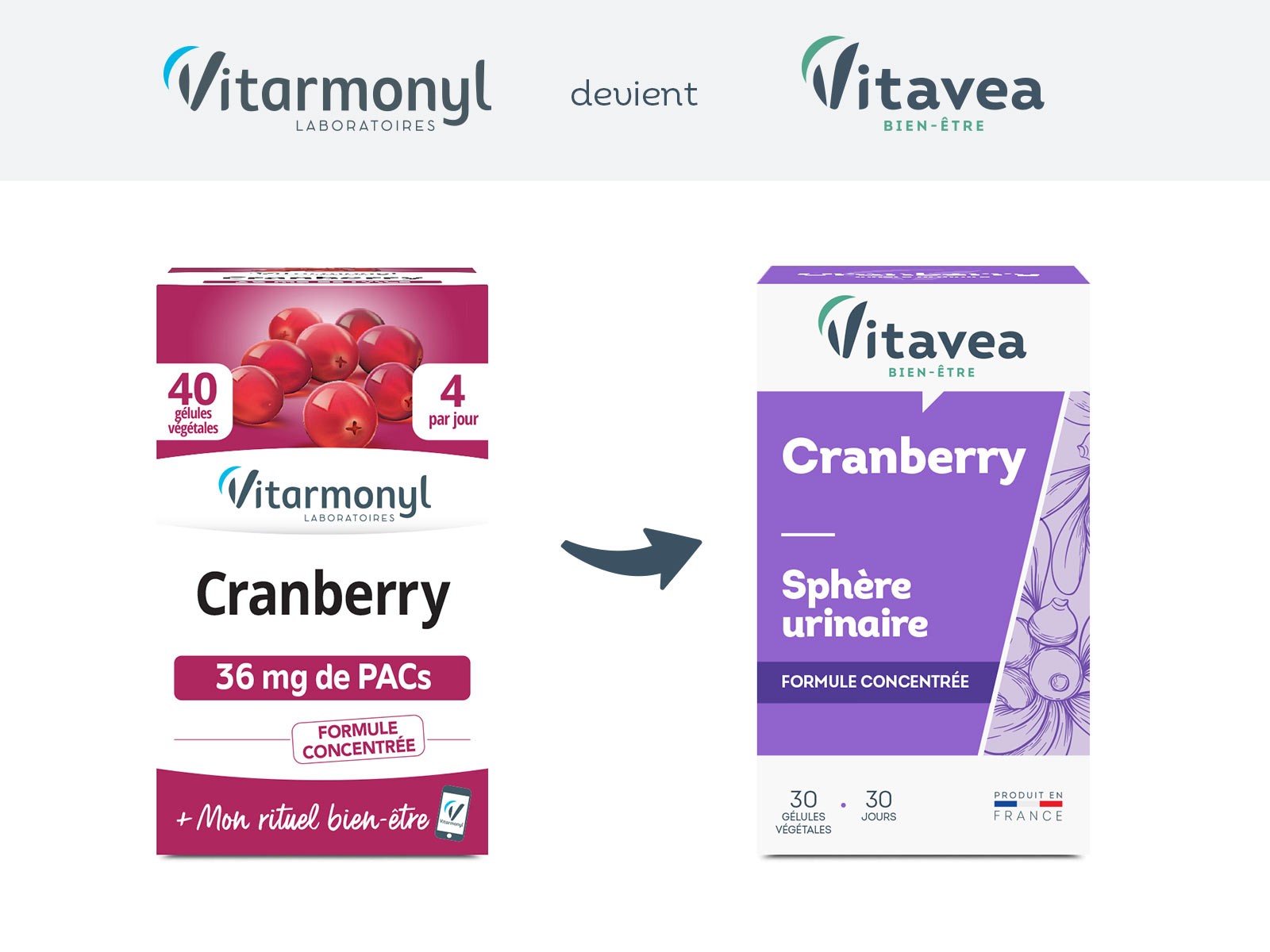 Image Cranberry