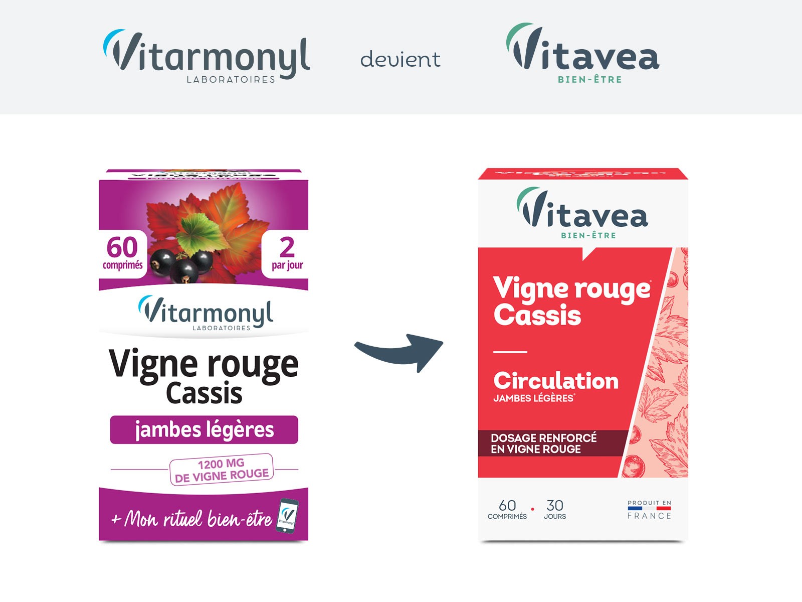 Vigne rouge Cassis Vigne rouge Cassis